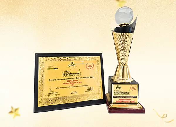 GEEF Global Emerging Environmental Excellence Company of the Year 2025