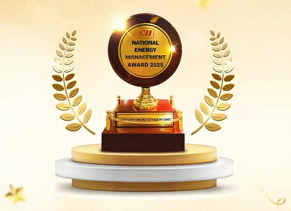 National Energy Leader CII Award 2025